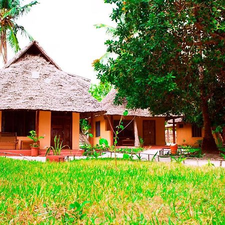 Afro Whale Shark Safari Bed & Breakfast Kilindoni Exterior photo