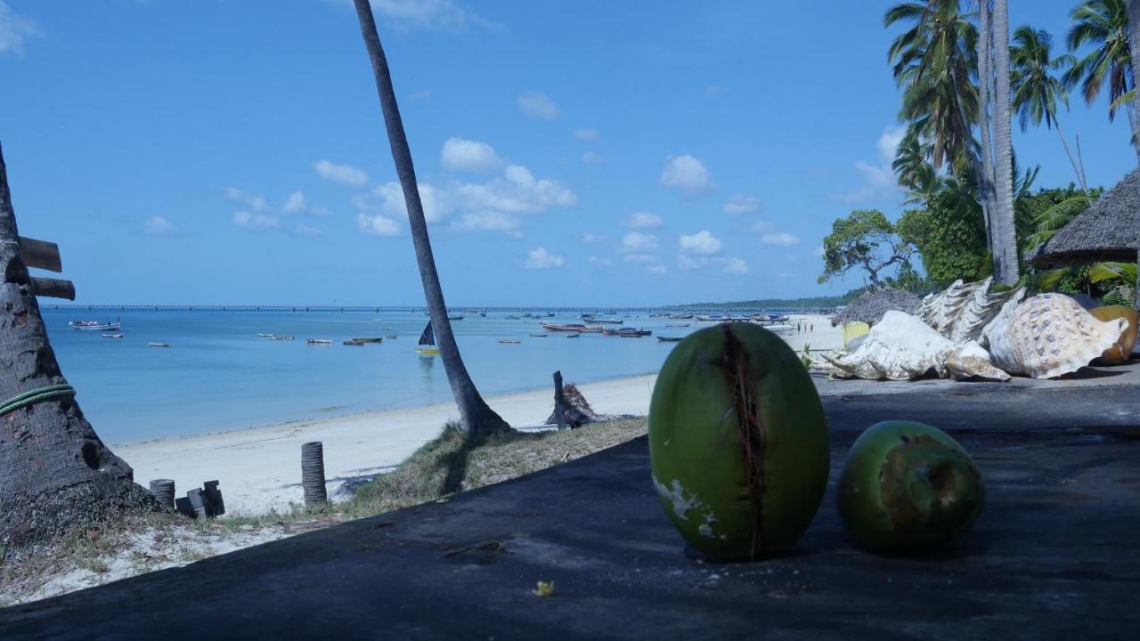 Afro Whale Shark Safari Bed & Breakfast Kilindoni Exterior photo