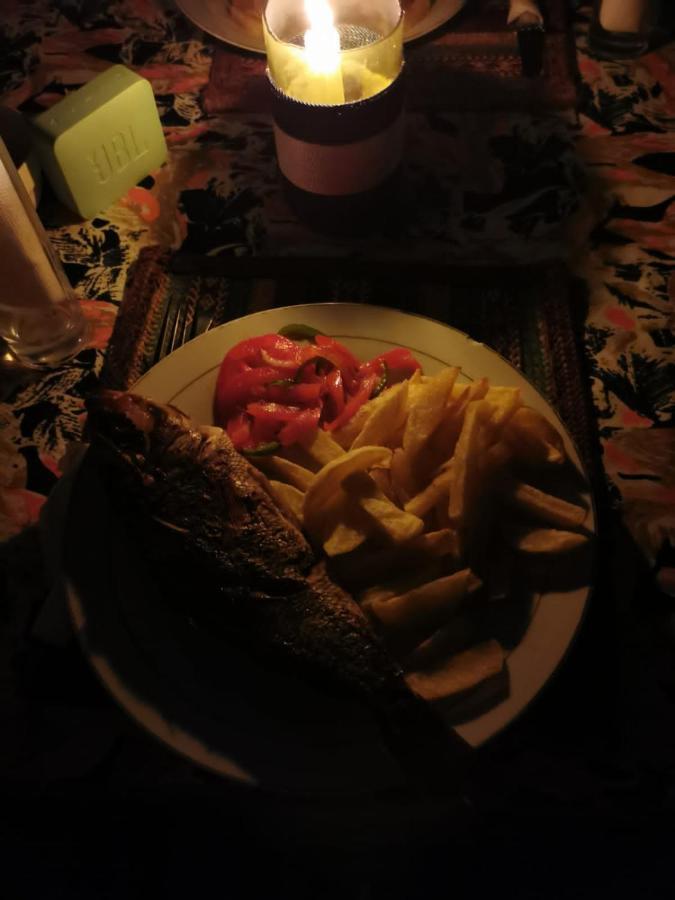 Afro Whale Shark Safari Bed & Breakfast Kilindoni Exterior photo
