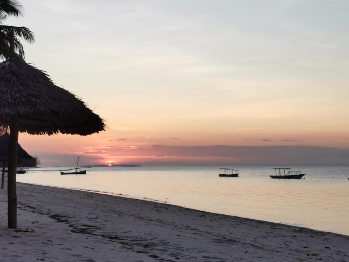 Afro Whale Shark Safari Bed & Breakfast Kilindoni Exterior photo