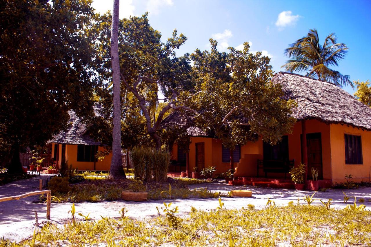 Afro Whale Shark Safari Bed & Breakfast Kilindoni Exterior photo