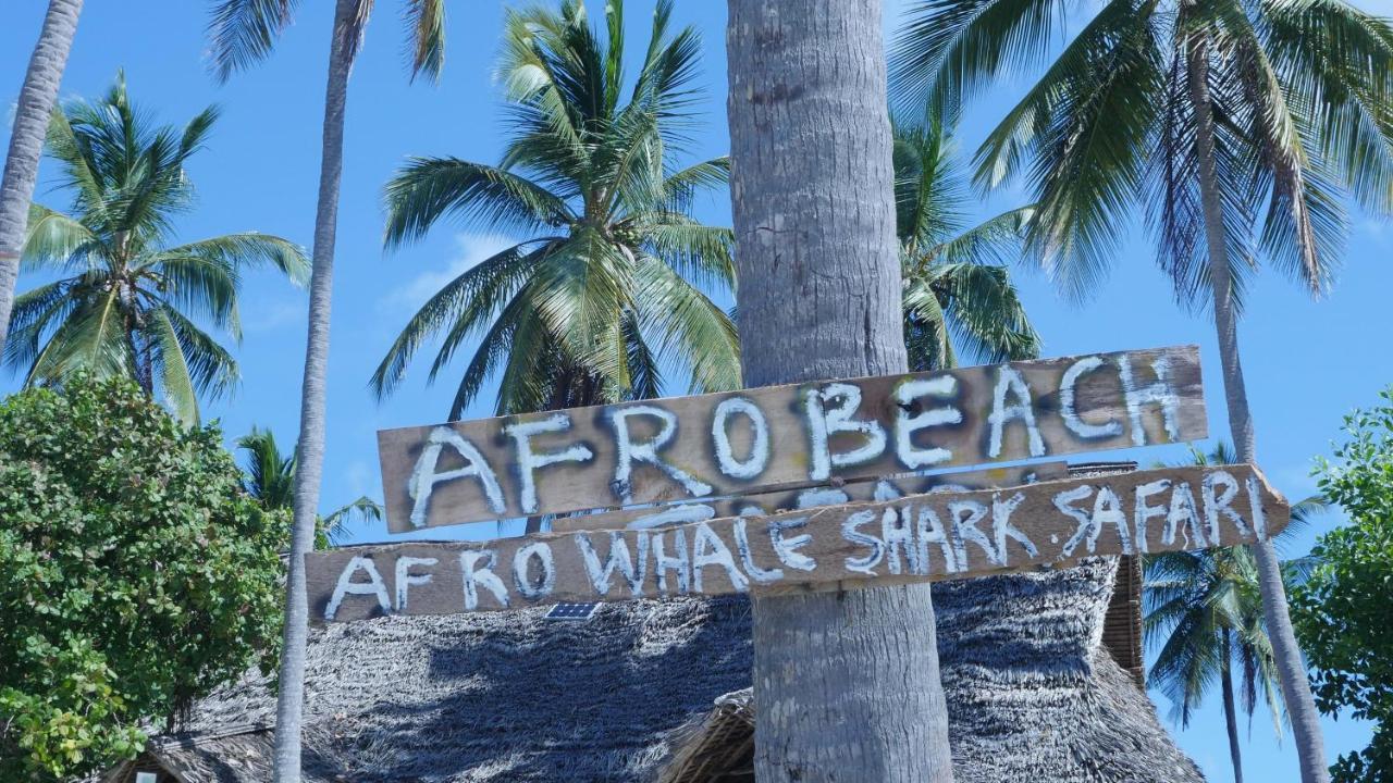 Afro Whale Shark Safari Bed & Breakfast Kilindoni Exterior photo
