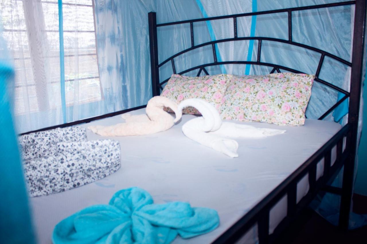 Afro Whale Shark Safari Bed & Breakfast Kilindoni Exterior photo