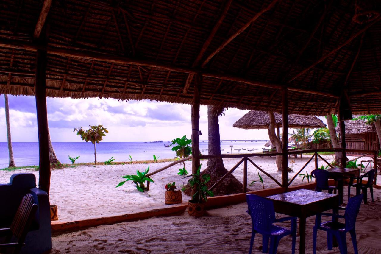 Afro Whale Shark Safari Bed & Breakfast Kilindoni Exterior photo